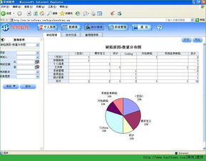 軟件缺陷的簡介